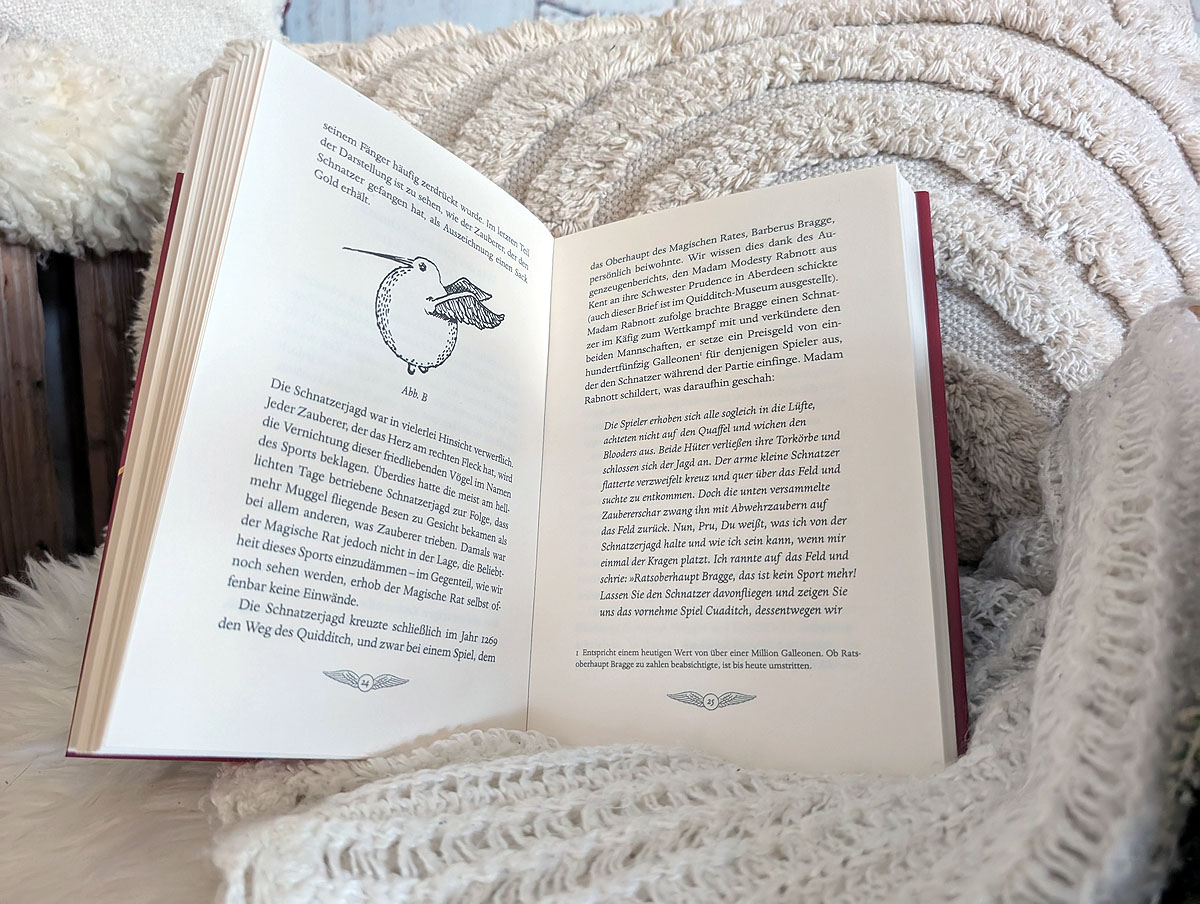 Quidditch im Wandel der Zeit Quidditch im Wandel der Zeit