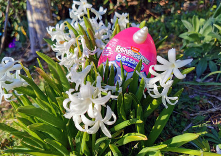 Rainbocorn Ostern Smyths Toys