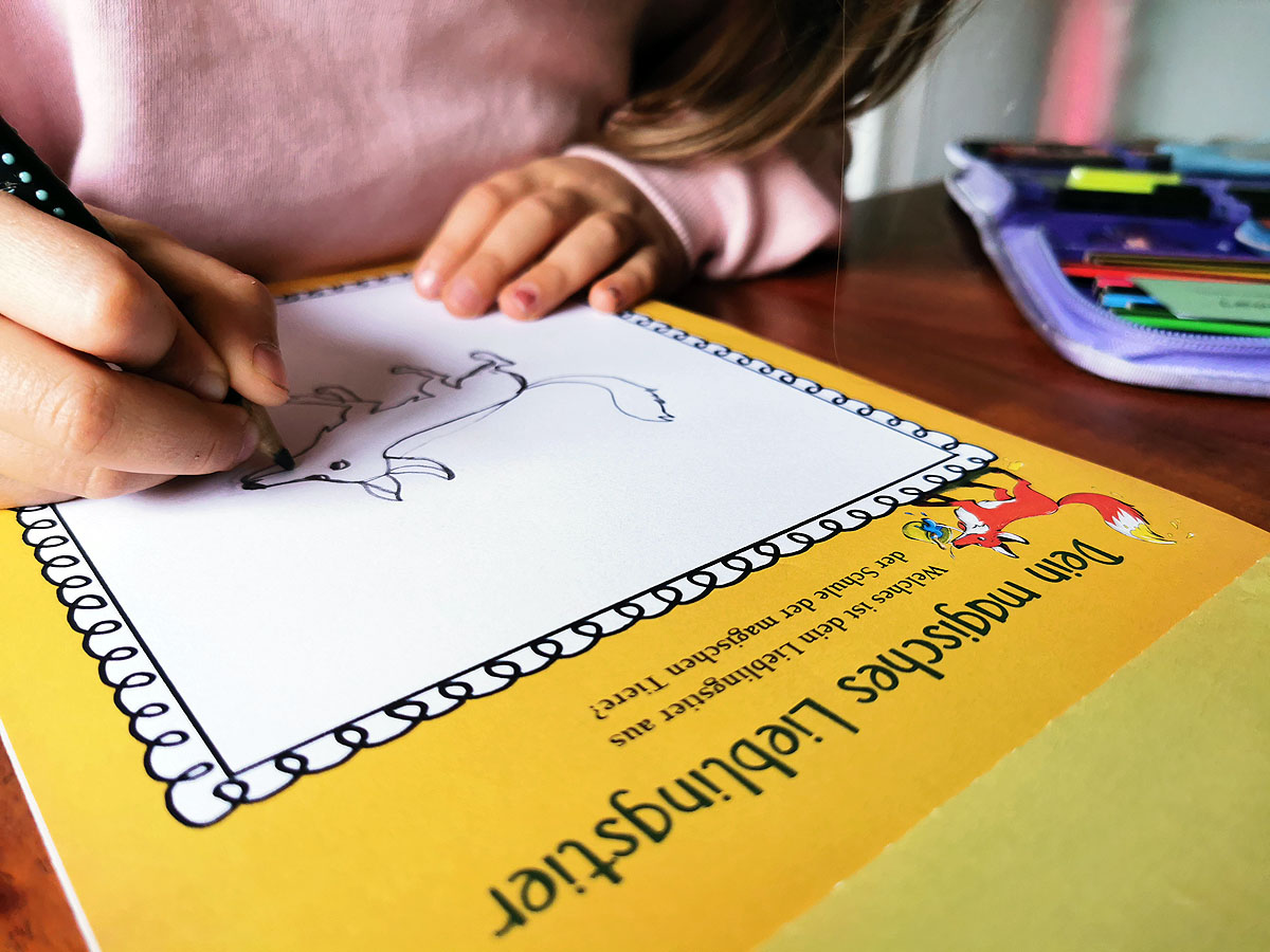 Die Schule der magischen Tiere Lieblingsbegleiter